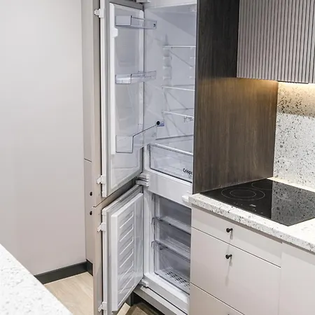 In Lägenhet Vilnius