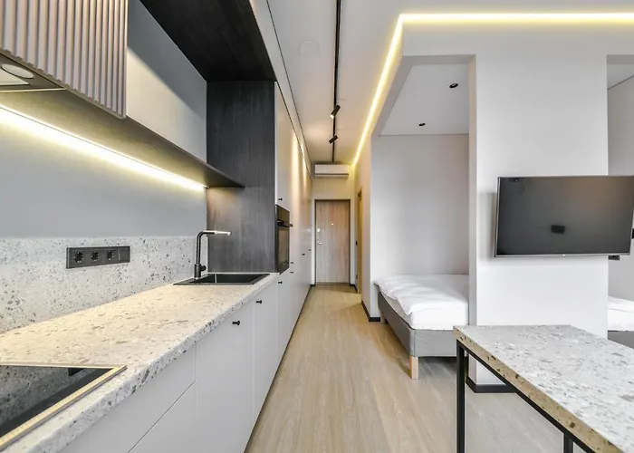 Apartamento In Vilnius