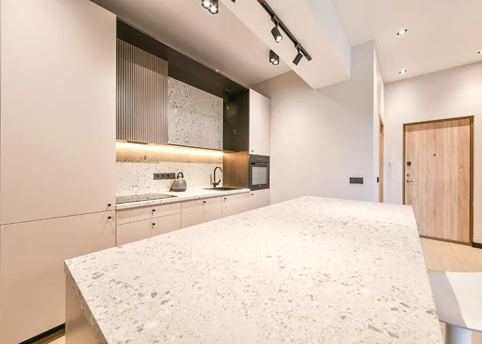 Apartamento In Vilnius