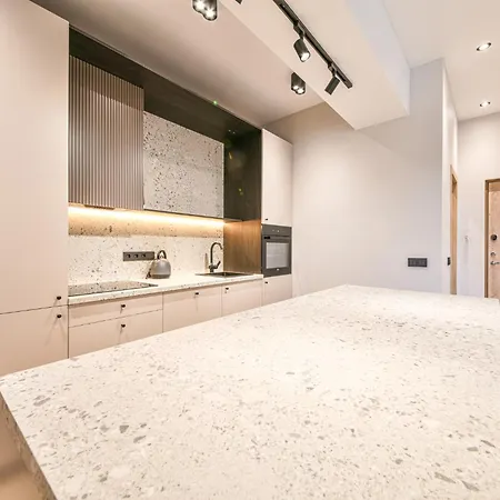 Appartamento In Vilnius